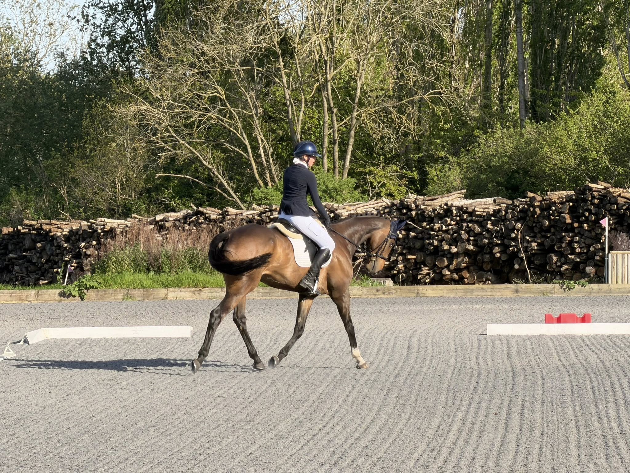 Summer Dressage Series